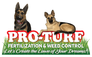 Pro Turf Fertilization & Weed Control